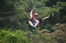 Roatán: Zipline Tour Only