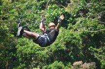 Roatán: Zipline Tour Only