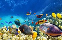 Private Island Hopping in Nasuluan, Hiltotongan and Caohngan 