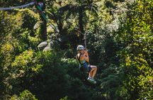 Shared Guided Multi Day Adventure Tour in Auckland