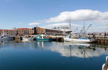 Hobart Shore Excursion: Hobart Attractions Bus 