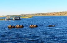 South Africa, Botswana and Zimbabwe Wildlife Adventure