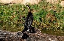 South Africa, Botswana and Zimbabwe Wildlife Adventure