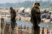 Hire a Licensed Guide for Fullday Hampi visit with own transport