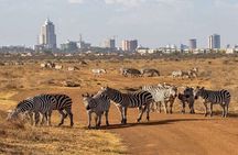 Nairobi National Park and Giraffe Center from Kenya with a Guide