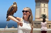 Tangier Luxury Private day trip from Malaga All inclusive