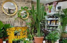 Terrarium Making Experience in Cirencester