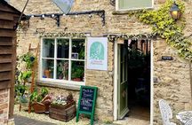 Terrarium Making Experience in Cirencester