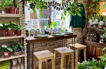 Succulent Bowl Planting Activity in Cirencester