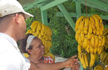 Puerto Plata Historic Town & Countryside - Amber Cove & Taino Bay