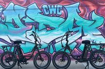 Guided Asheville E-bike Tour of River Arts, Mountains and Murals