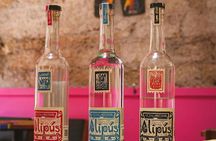 Mezcal Sips and Mariachi Mexico City Tour