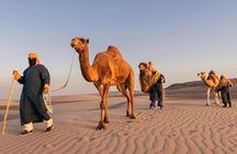 Camel Tour, Vitivinicola Winery with Buggies and Sandboarding