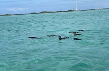 Multi Day Tour Around Galápagos Islands