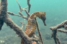 Multi Day Tour Around Galápagos Islands