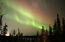 Aurora Chasing + Aurora Lodge