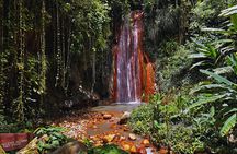 St Lucia Diamond Mineral and Mud Baths Plus Waterfall Adventure
