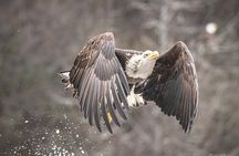 Private Full Day Photography Workshop of Fairbanks 