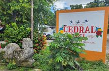 Cozumel Jungle ATV Tour Adventure and Caverns with transfer