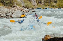 Numbers Half-Day Whitewater Rafting plus Mountaintop Zipline from Buena Vista