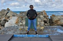 Cape Agulhas, Hermanus Whale Watching, Penguins and Wine Tasting 