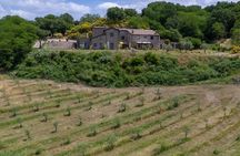 Valle del Lago eBike Tour with Food & Wine Tasting Experience