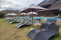 Cape Town Big five Safari Transport, Lunch And Park Fee Inclusive