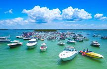 3 Hour Shared John's Pass Sandbar Experience