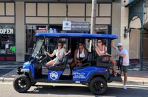 Tampa's Top Dive Bar Tour Experience by Golf Cart