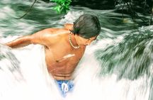 Halfway to Hana Private Tour Maui BlackBeach Waterfalls Turtles