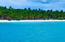 Saona Island Adventure
