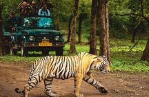 6 Days Golden Triangle Tour with Ranthambore Tiger Safari