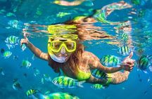 Phuket to Phi Phi Island Snorkel, Swim & Paddle Board Experience