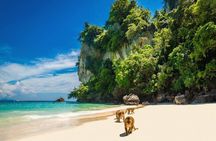Phuket to Phi Phi Island Snorkel, Swim & Paddle Board Experience