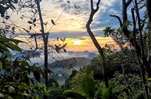 Dragon Crest Sunrise Hike and Klong Root Kayaking Private Tour