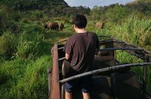 Minneriya National Park Half day Jeep Safari with Hotel Pickup
