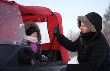 Snowmobile and Ice Fishing Excursion (private tour)
