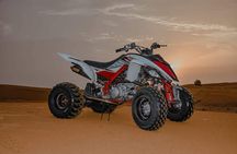 Arabian Desert Safari And BBQ Dinner Red Dunes with Camel Riding 