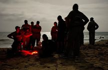 3 Hour Turtle Watching Experience in Boa Vista 