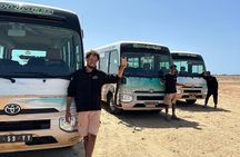 3 Hour Turtle Watching Experience in Boa Vista 