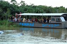 Half Day Hippo & Croc Safari Isimangaliso Tour from Durban