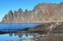 Feel Senja - around the island & more