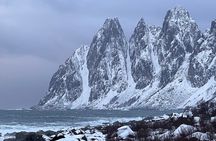 Feel Senja - around the island & more