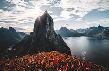 Feel Senja - around the island & more