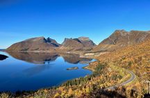 Feel Senja - around the island & more