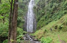 Private Materuni and Chemka Hotspring Tour