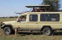 Private 2 Days Tarangire and Ngorongoro Crater from Zanzibar