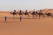 3-day 2-night Sahara Desert Adventure
