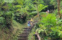"Rio Celeste Waterfall, Peace Tree Encounter & Sloth Adventure"