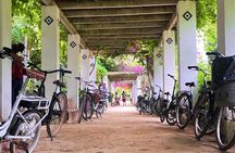 Get to know Seville like a local on an Electric Bicycle